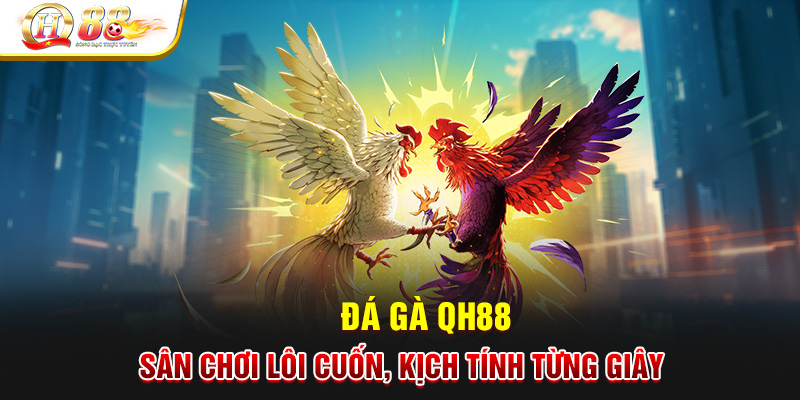 Đá Gà QH88 - Sân Chơi Lôi Cuốn, Kịch TÍnh Từng Giây
